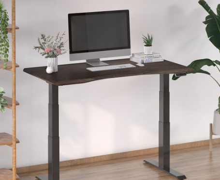 FlexiSpot E7 Pro elektrischer Stehschreibtisch – Bild 2